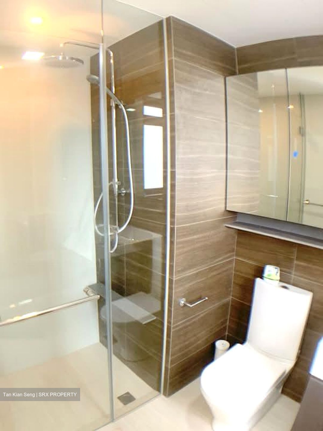 Botanique At Bartley (D19), Condominium #593661711